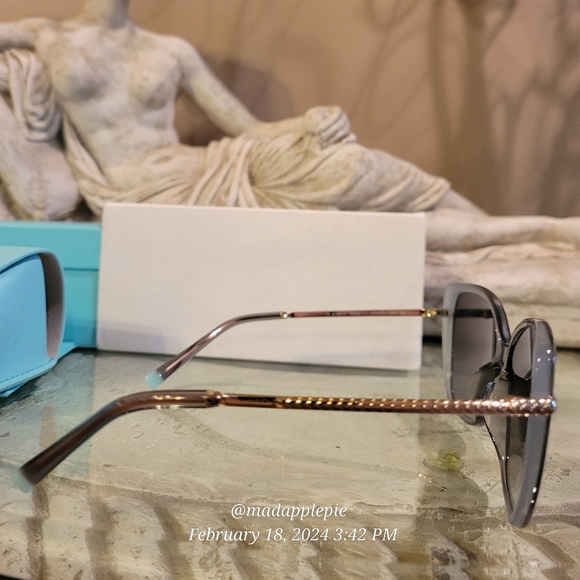 Tiffany & Co. TF4190 Cat Eye Sunglasses Luxury Designer Oversized Celebrity #21 - Picture 9 of 17